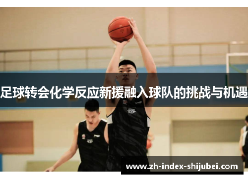 足球转会化学反应新援融入球队的挑战与机遇